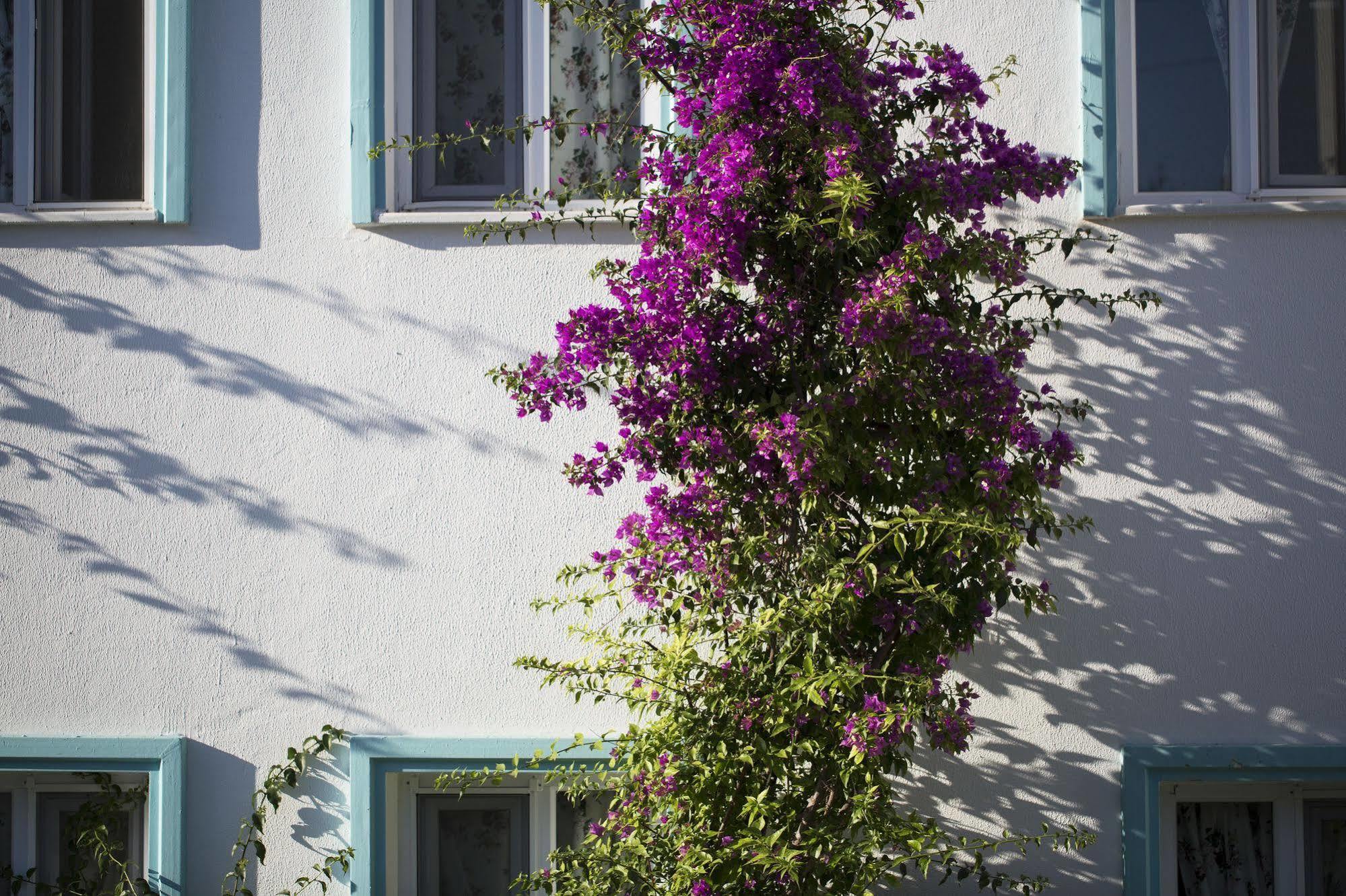 Istanbul Hotel Bodrum Тюркбюкю Екстер'єр фото